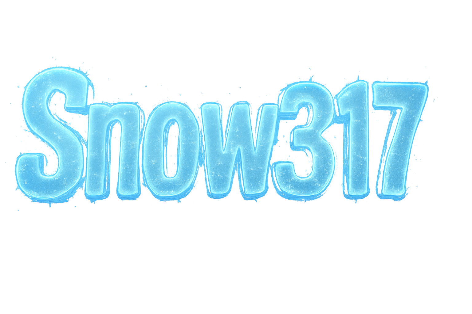 Snow317 Logo